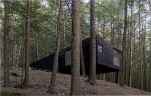 Проект каркасного дома необычной архитектуры «взрослого» домика на дереве